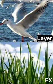 fx_0_seagull-above-grass_text