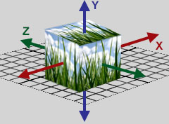 layer_scale