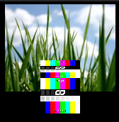 preview_camera_orthogonal-output