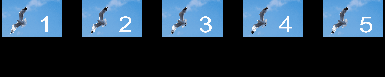 preview_seagull-image_align_1