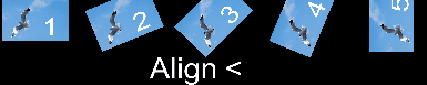 preview_seagull-image_align_2