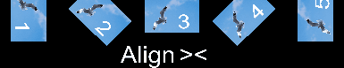 preview_seagull-image_align_4