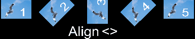 preview_seagull-image_align_5