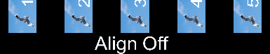 preview_seagull-image_align_off