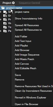 project-tab_context-menu